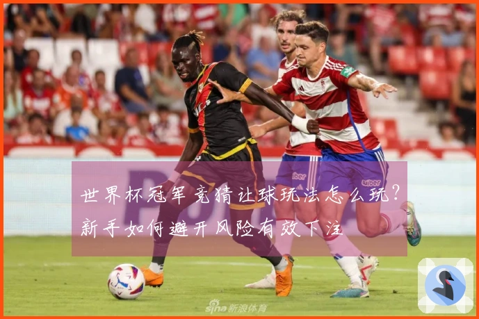 世界杯冠军竞猜让球玩法怎么玩？新手如何避开风险有效下注