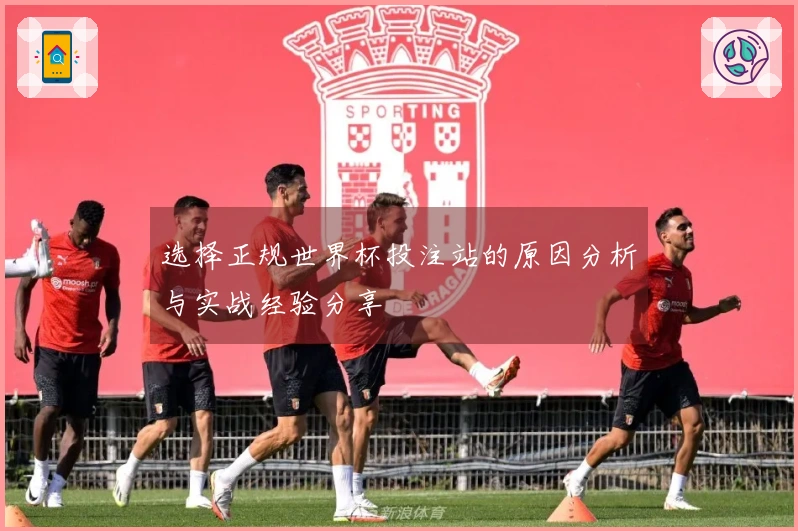 选择正规世界杯投注站的原因分析与实战经验分享